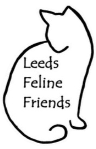 How To Find A Missing Or Lost Cat Help Advice What To Do If You Have Found A Stray Cat Cat Chat